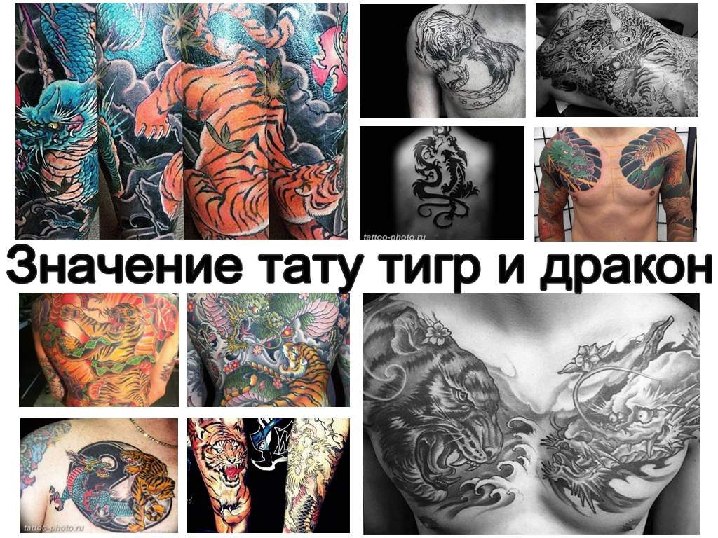 Значение тату тигр и дракон - информация о рисунке и фото примеры